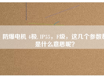 防爆電機(jī) 4極, IP55，F(xiàn)級(jí)，這幾個(gè)參數(shù)都是什么意思呢？