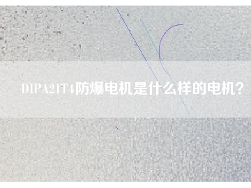 DIPA21T4防爆電機(jī)是什么樣的電機(jī)？