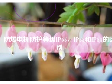 防爆電機(jī)防護(hù)等級IP65，IP55和IP54的區(qū)別