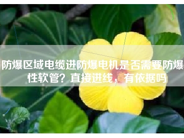 防爆區(qū)域電纜進(jìn)防爆電機(jī)是否需要防爆撓性軟管？直接進(jìn)線，有依據(jù)嗎