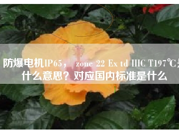防爆電機(jī)IP65， zone 22 Ex td IIIC T197℃是什么意思？對(duì)應(yīng)國(guó)內(nèi)標(biāo)準(zhǔn)是什么
