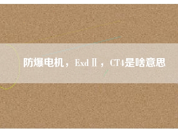 防爆電機(jī)，ExdⅡ，CT4是啥意思