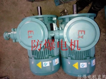 防爆電機(jī)分類：防爆電機(jī)選型、參數(shù)、定義