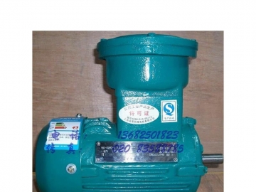 防爆電機(jī)的分類(lèi)