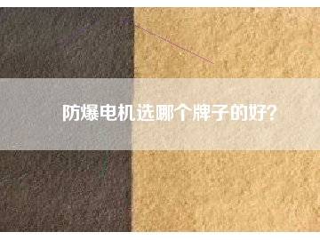 防爆電機(jī)選哪個牌子的好？
