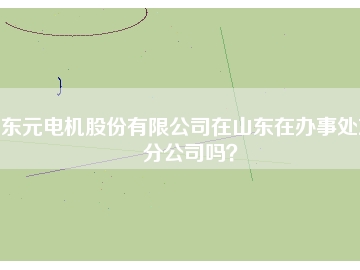 東元電機股份有限公司在山東在辦事處或分公司嗎？