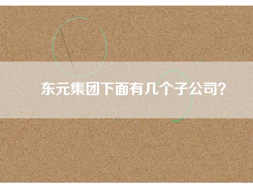 東元集團(tuán)下面有幾個子公司？