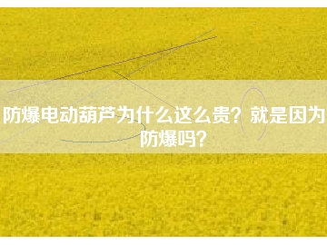 防爆電動葫蘆為什么這么貴？就是因為能防爆嗎？
