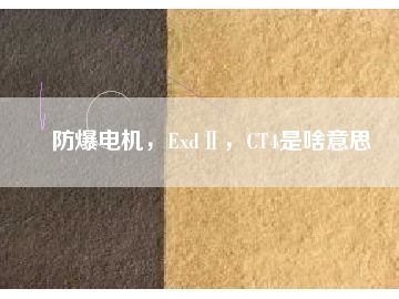 防爆電機，ExdⅡ，CT4是啥意思