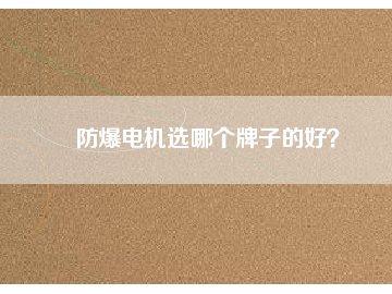 防爆電機選哪個牌子的好？