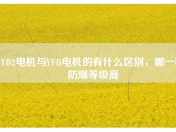 YB2電機(jī)與YFB電機(jī)的有什么區(qū)別，哪一種防爆等級(jí)高