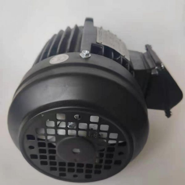 永磁電機 DVEX  45KW  1500RPM  F#200L IE4效率電機