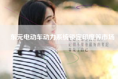 東元電動(dòng)車動(dòng)力系統(tǒng)鎖定印度等市場(chǎng)