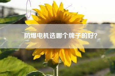 防爆電機(jī)選哪個(gè)牌子的好？