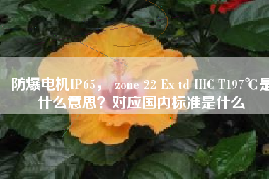 防爆電機(jī)IP65， zone 22 Ex td IIIC T197℃是什么意思？對(duì)應(yīng)國內(nèi)標(biāo)準(zhǔn)是什么