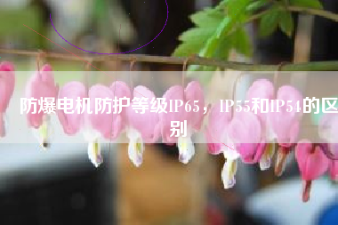 防爆電機防護等級IP65，IP55和IP54的區(qū)別