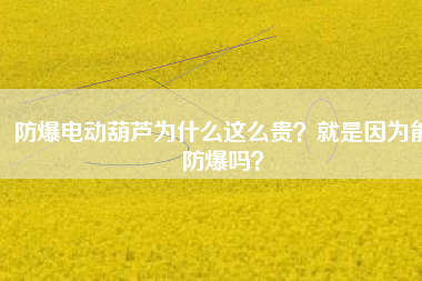 防爆電動葫蘆為什么這么貴？就是因為能防爆嗎？