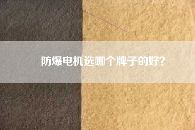 防爆電機(jī)選哪個(gè)牌子的好？
