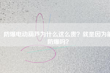防爆電動葫蘆為什么這么貴？就是因為能防爆嗎？