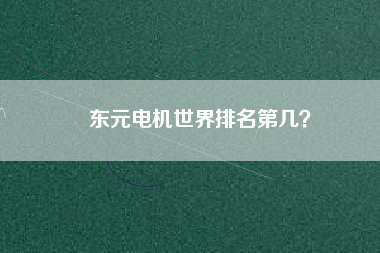 東元電機(jī)世界排名第幾？