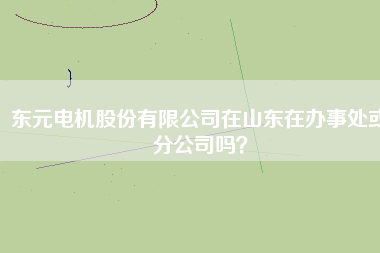 東元電機(jī)股份有限公司在山東在辦事處或分公司嗎？