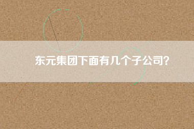 東元集團(tuán)下面有幾個(gè)子公司？