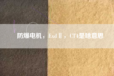防爆電機(jī)，ExdⅡ，CT4是啥意思