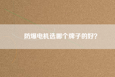 防爆電機(jī)選哪個(gè)牌子的好？