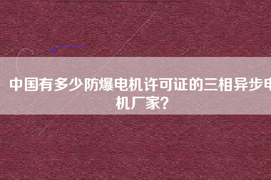 中國(guó)有多少防爆電機(jī)許可證的三相異步電機(jī)廠家？