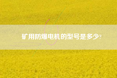 礦用防爆電機(jī)的型號是多少?