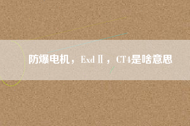 防爆電機(jī)，ExdⅡ，CT4是啥意思