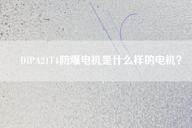 DIPA21T4防爆電機是什么樣的電機？